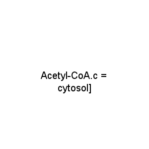 Acetyl-CoA.c = cytosol]